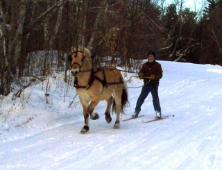  Skijoring Pic de la Ceuze 